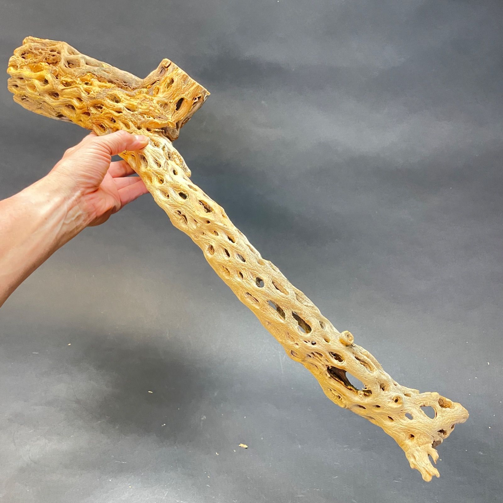 鳥用品　カクタス　スケルトン　パーチ　おまとめNo.212、No.133 鳥用品 カクタス スケルトン パーチ おまとめNo.212、No.133 鳥用品