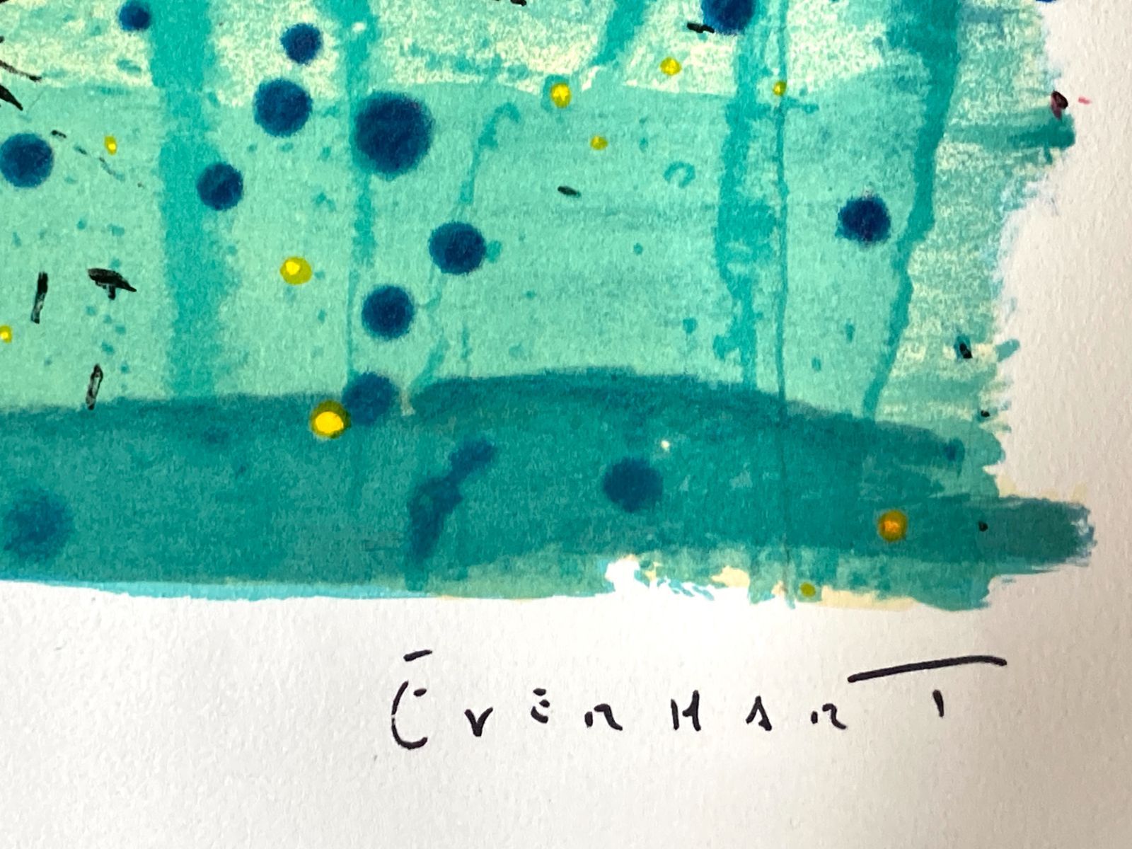 500 トムエバハート Bora Bora Boogie Oogie リトグラフ Tom Everhart スヌーピー ピーナッツ 認定書有り サイン有り