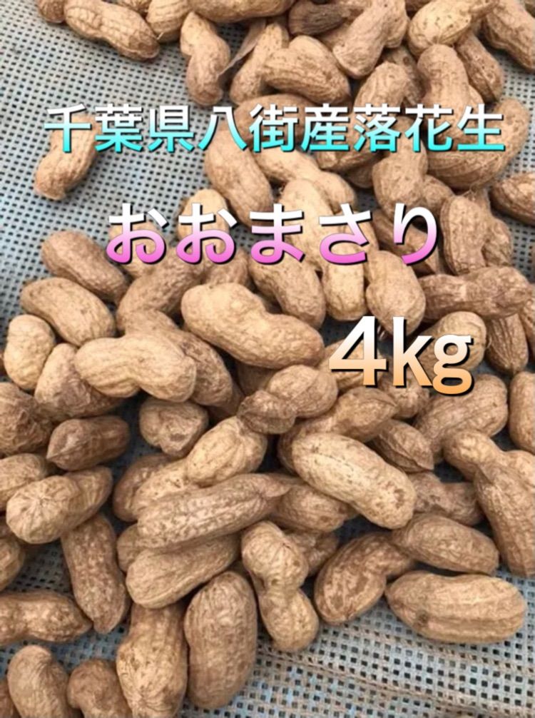 農家直送千葉県産落花生10kg保存期間→１年