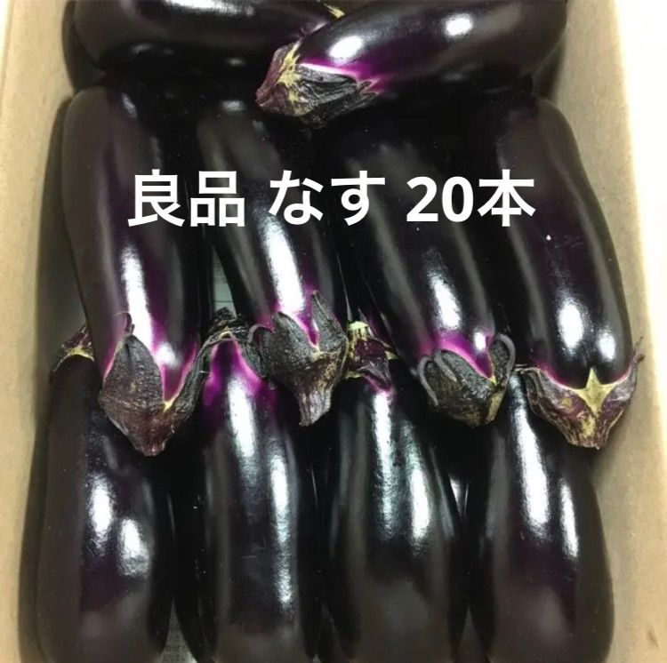 朝どり 茄子 なす 20本 小傷 60サイズ - メルカリ