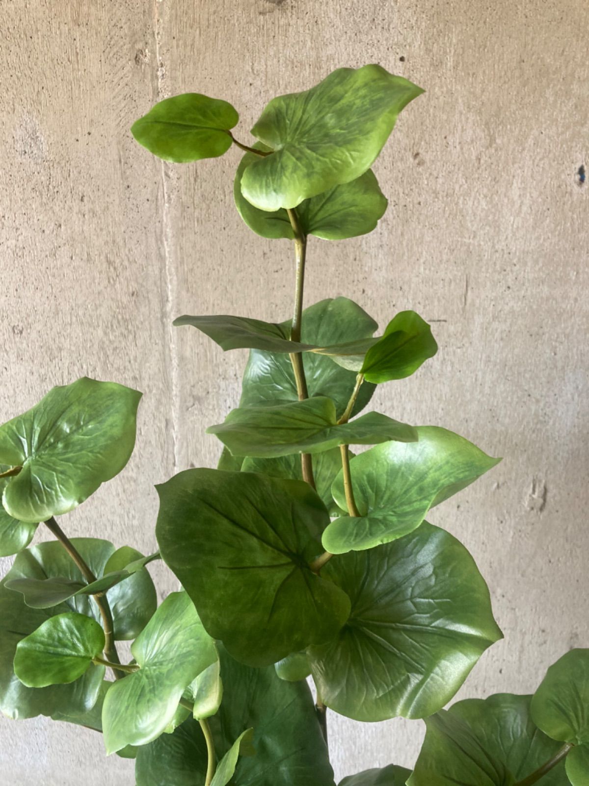 光触媒 人工観葉植物