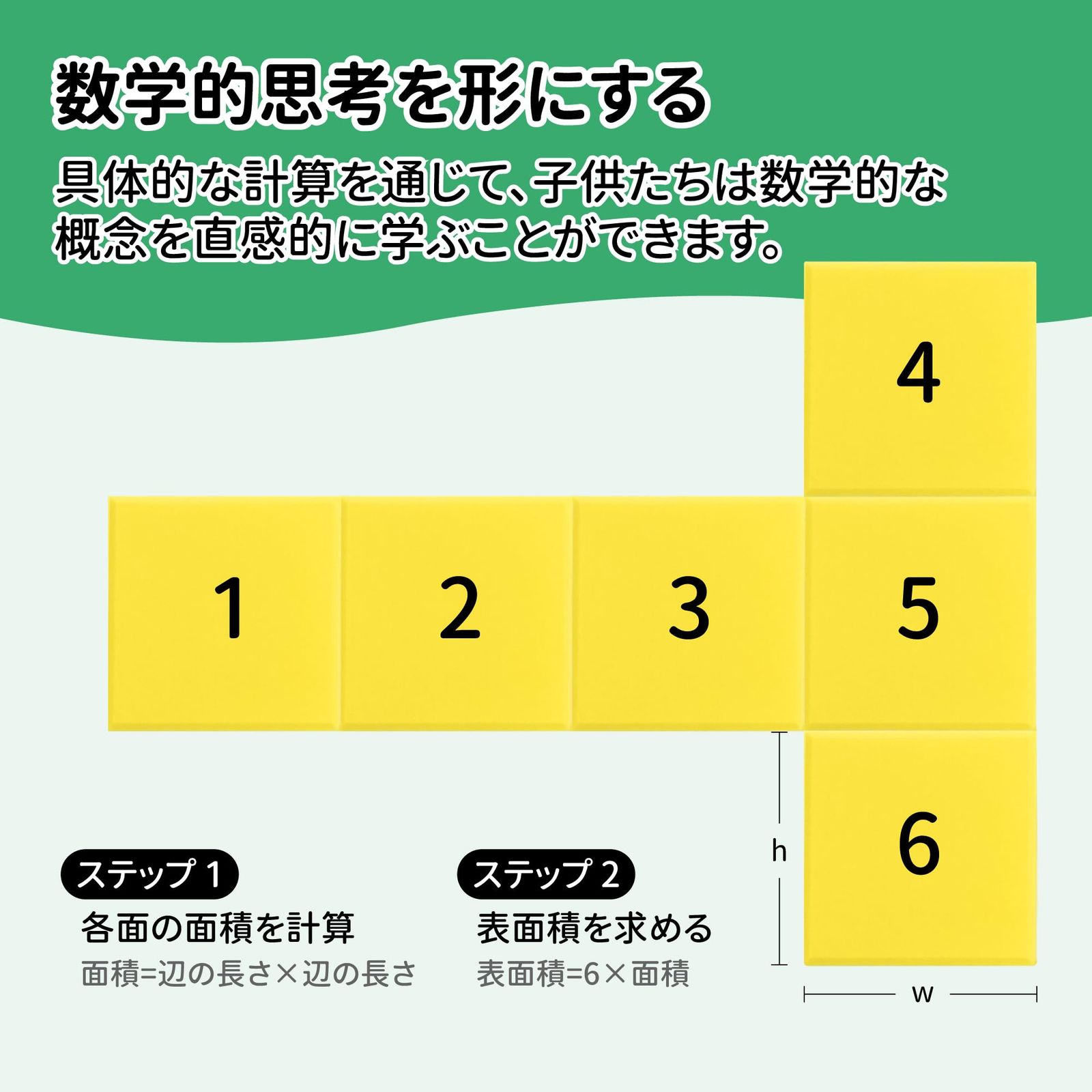 12種類の立体図形教材｜展開図つき｜小学生の算数学習 STEAM教育に