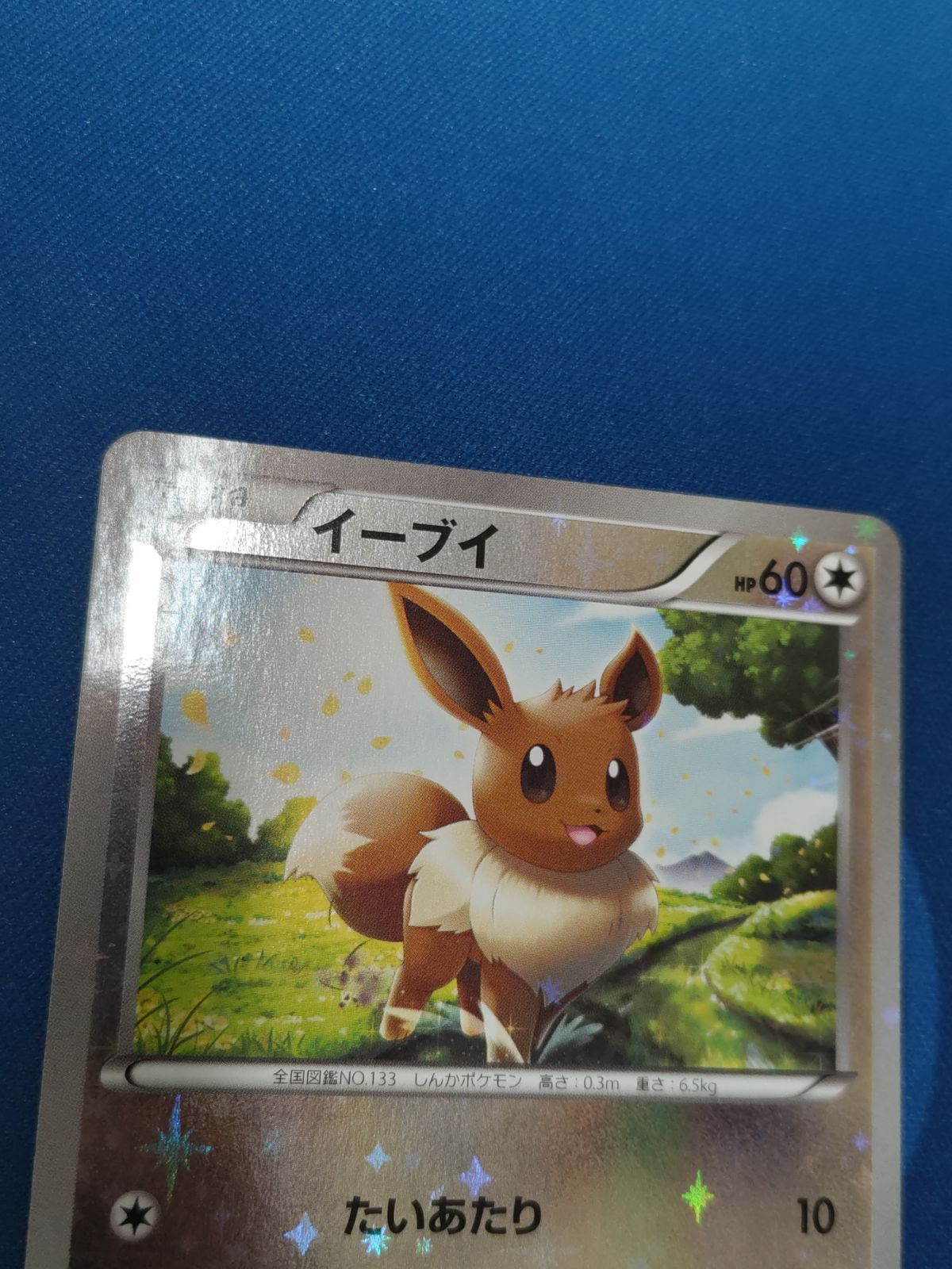 PSA10】イーブイ ミラー 100/171 XY - ポケモンカードゲーム