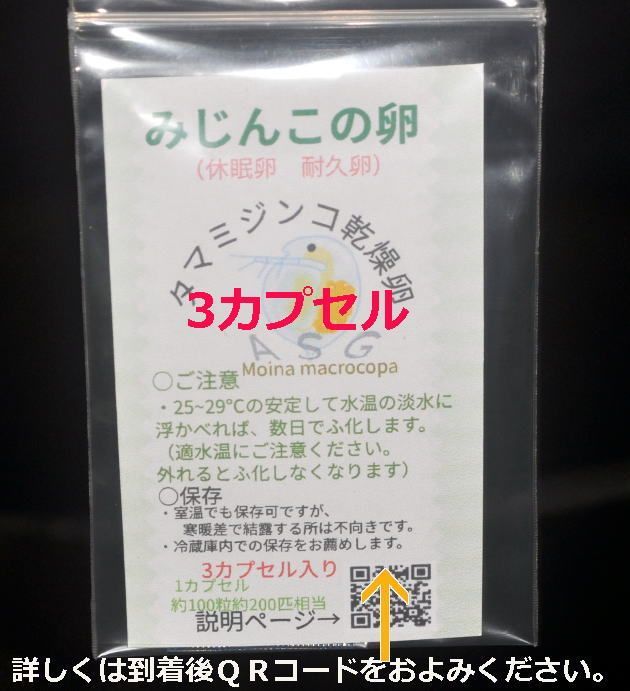 2024年度産 メダカのエサ 国産純粋 タマミジンコ 乾燥卵 3カプセル