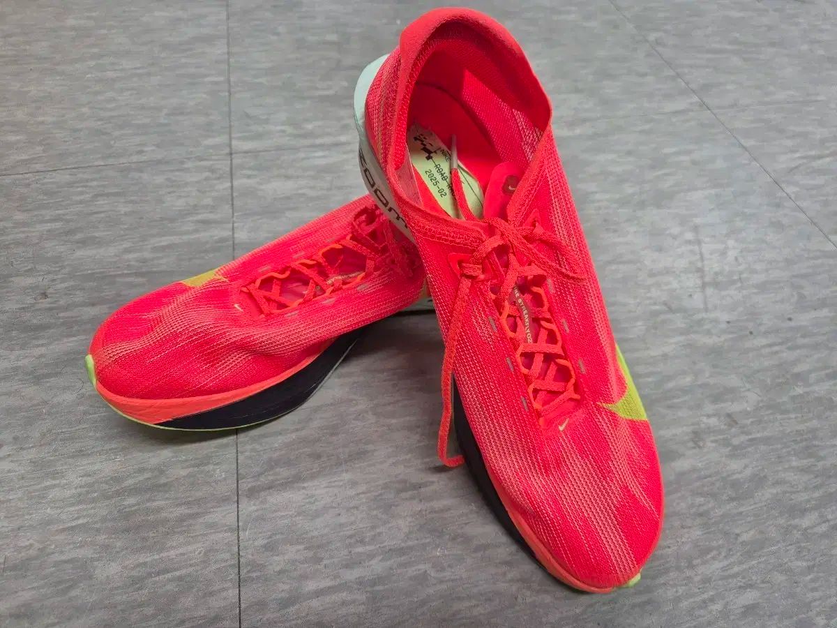 NIKE ナイキ ストリックフライ 2 270 サイズ