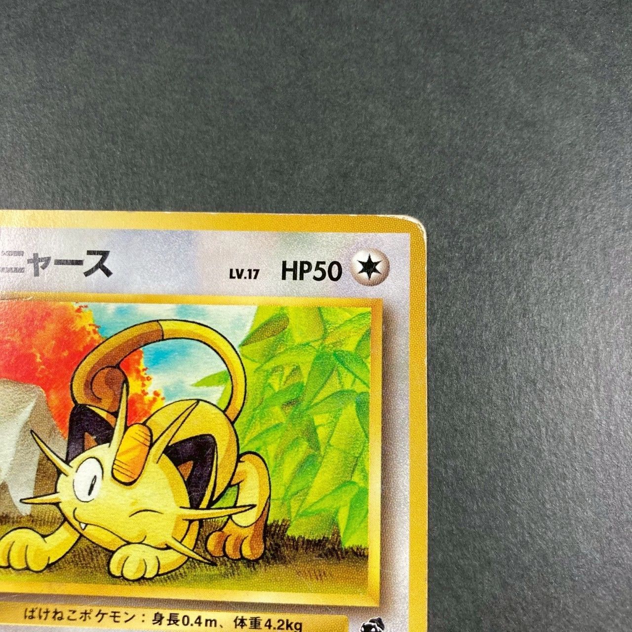 ポケモンカード　旧裏 旧裏 ポケモンカード わるいライチュウ 十字ホロ｜Yahoo!フリマ