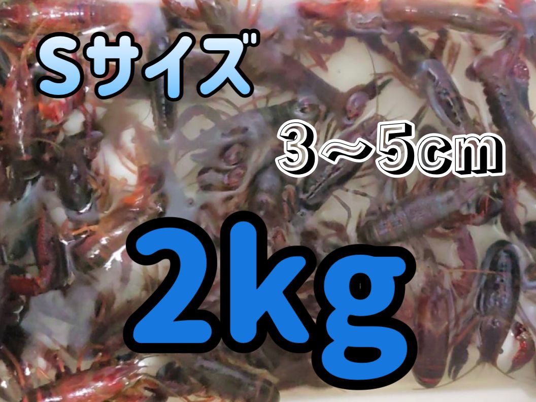 冷凍アメリカザリガニ Sサイズ 2ｋｇ 1ｋｇ×2袋