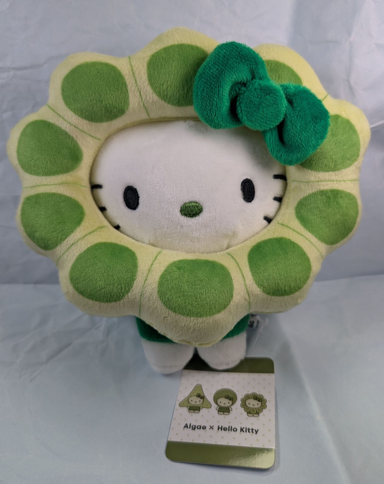 新品 タグ付き ボツリオコッカス ぬいぐるみ ALGAE キティ 藻 藻類