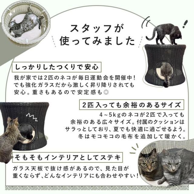 テーブル 犬