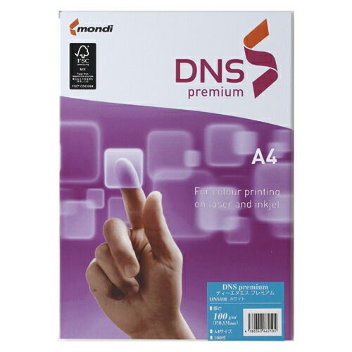 伊東屋 コピー用紙 DNS premium A4 100g/m2 500枚 DNS501 （1点）