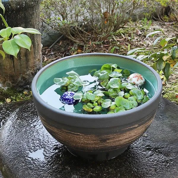 2025年最新】水瓶 メダカの人気アイテム - メルカリ