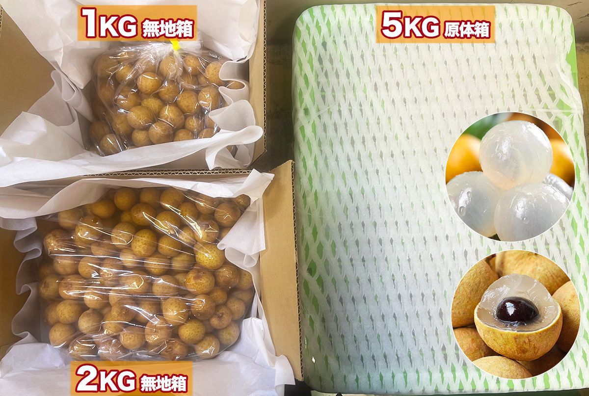 約2KG　空輸新入荷　ベトナム産　新鮮生龍眼（リュウガン）竜眼 生龍眼 約2kg ベトナム産 新品、未使用 - メルカリ