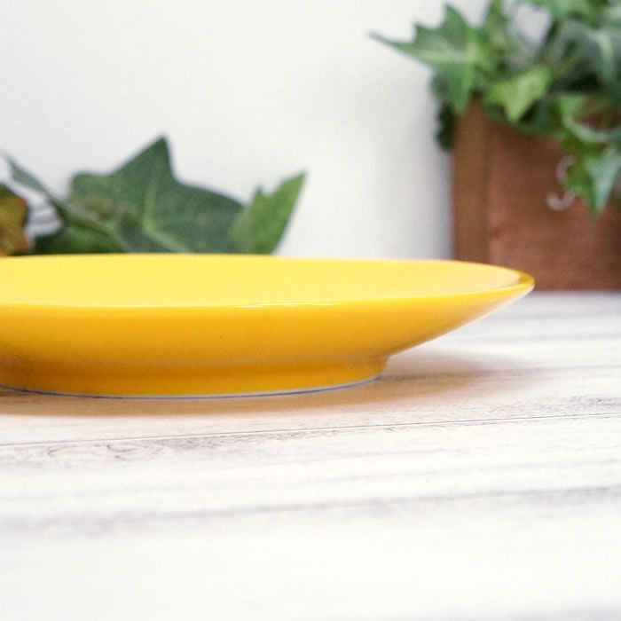 レオ・レオニ プレート フレデリック 陶器製 日本製 お皿 食器