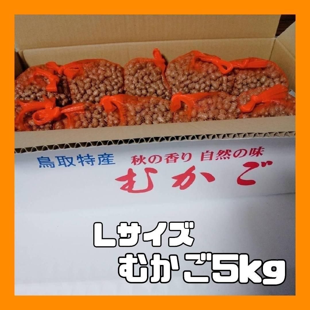 鳥取県産】むかご 5kg（500g×10袋） Lサイズ 長芋 ねばりっこ - あん