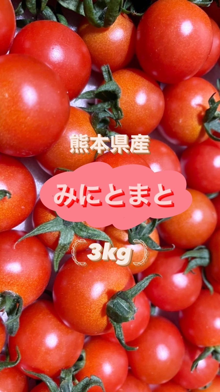 えーりん様専用 ミニトマト3kg小さめ - 野菜