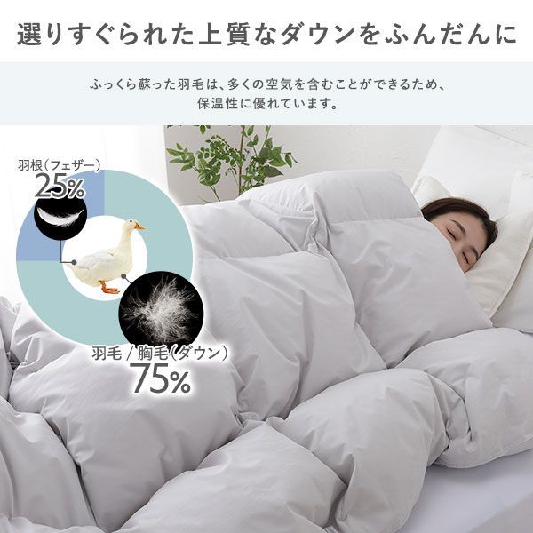 75％ ダブル