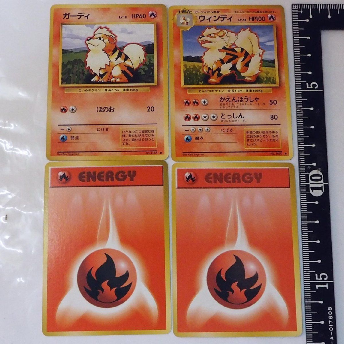 ガーディとウィンディ ポケモンカード旧裏面イントロセット