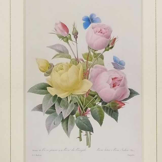 絵画 インテリア ルドゥーテ ローズ 絵額 複製画 『 美花選
