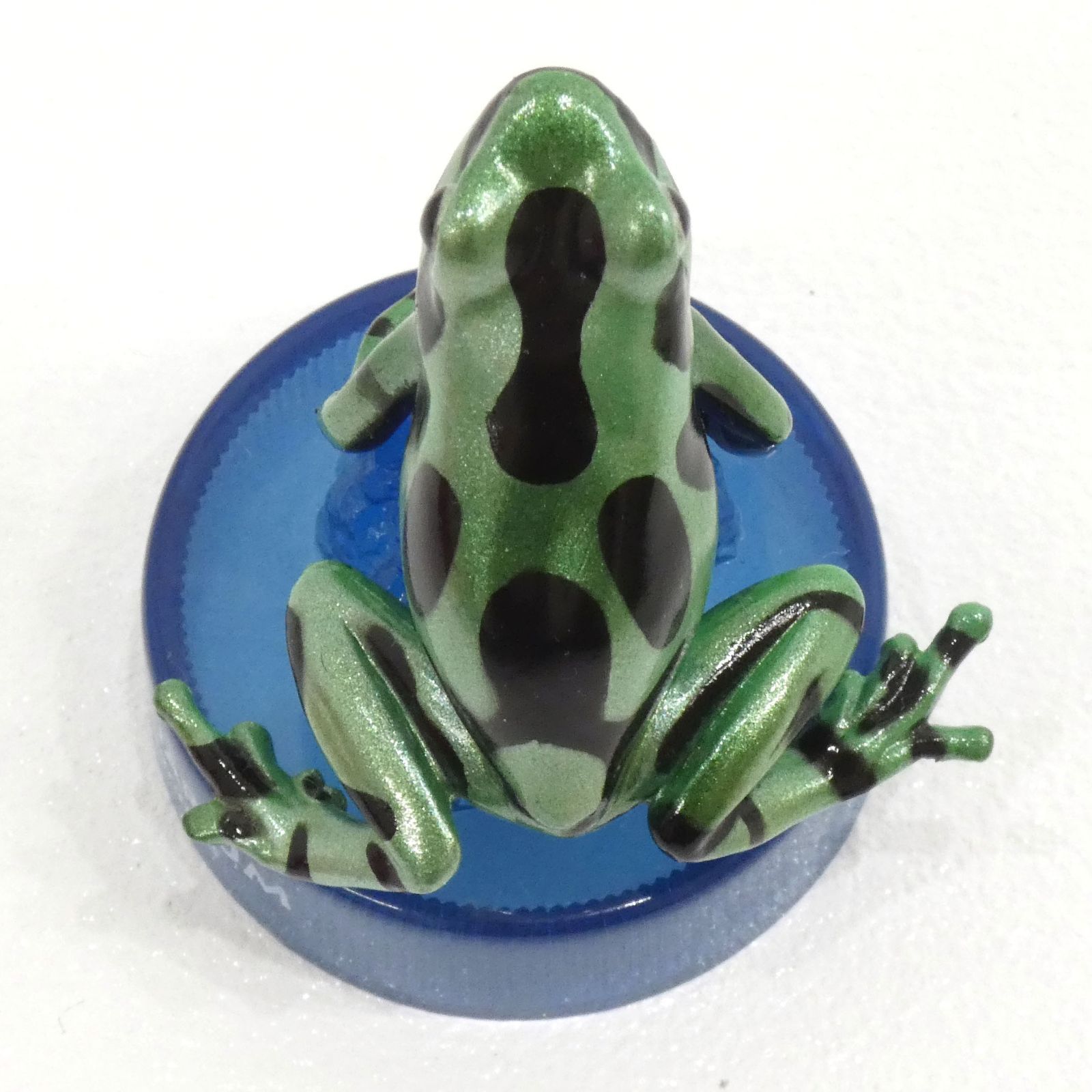 日本水族館立体生物図録4 全14種 セット 秋の収穫祭日本水族館