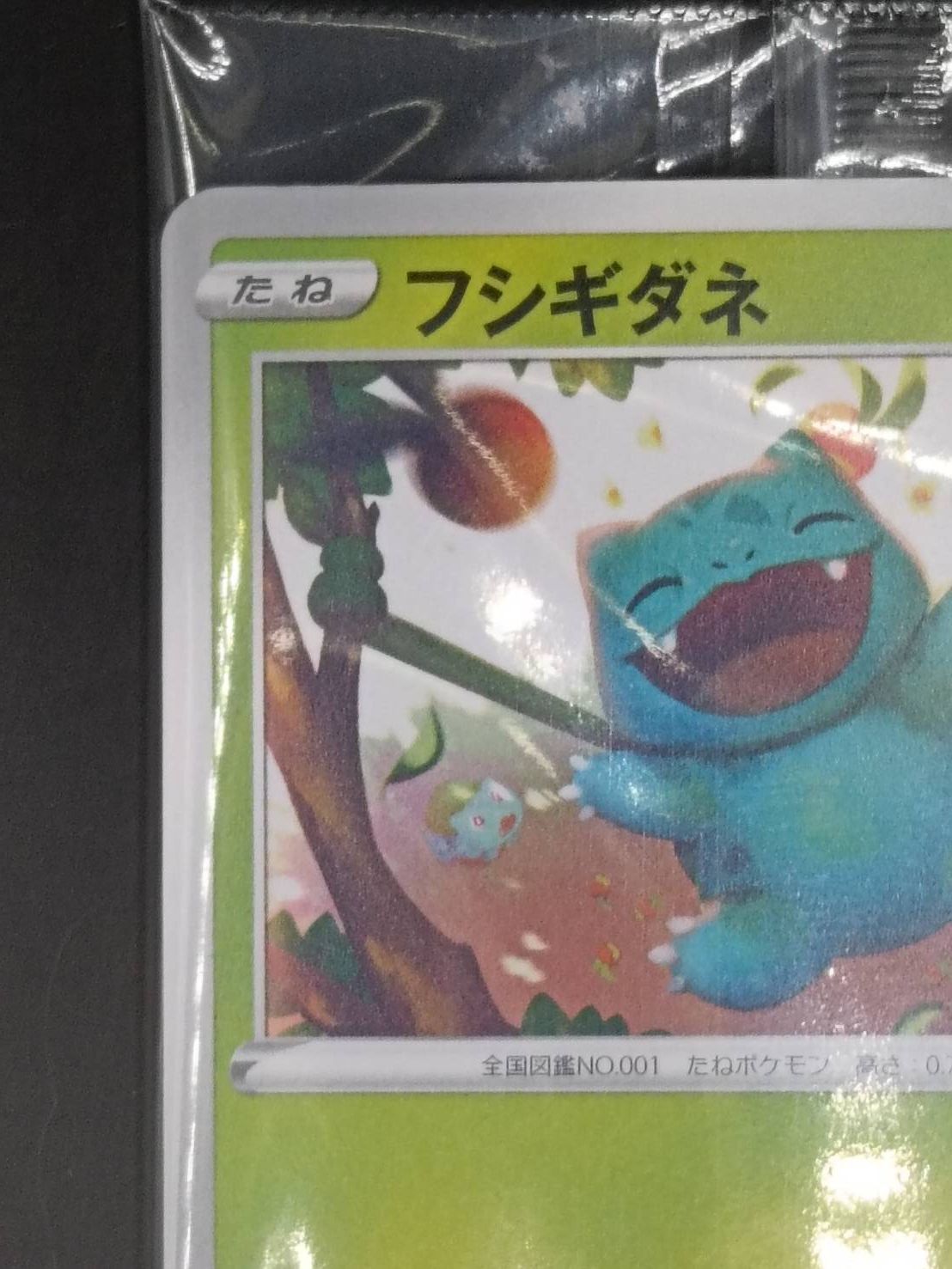 kncard77-0201フシギダネ　337/S-P 未開封　3枚セット ポケモンカード】 フシギダネ 337/S-P 等封入 3枚セット 未開封