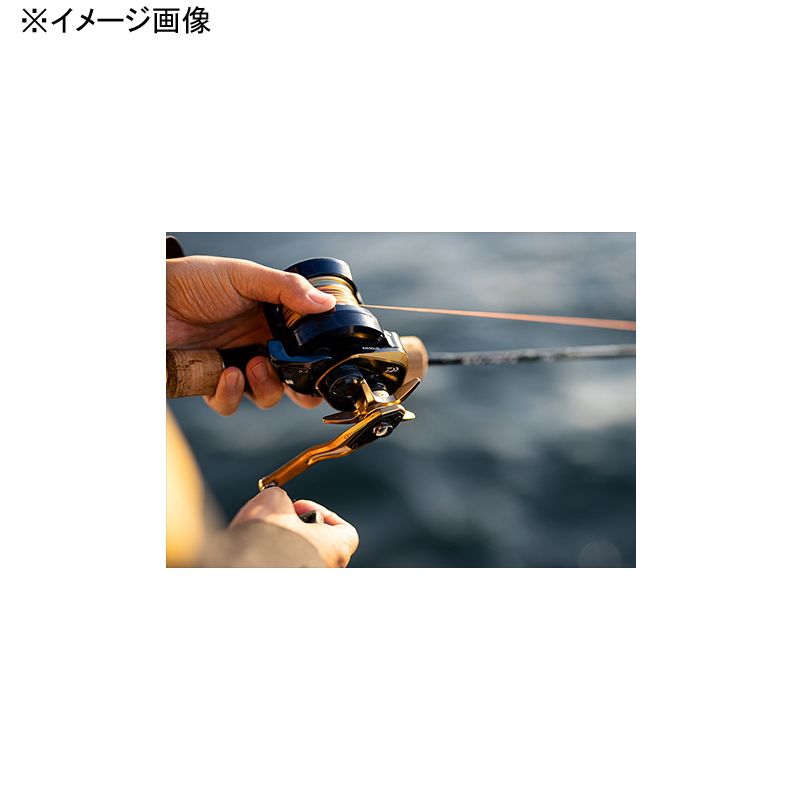 ダイワ(Daiwa)] 22SALTIGA(ソルティガ) 15L 左ハンドル 15L