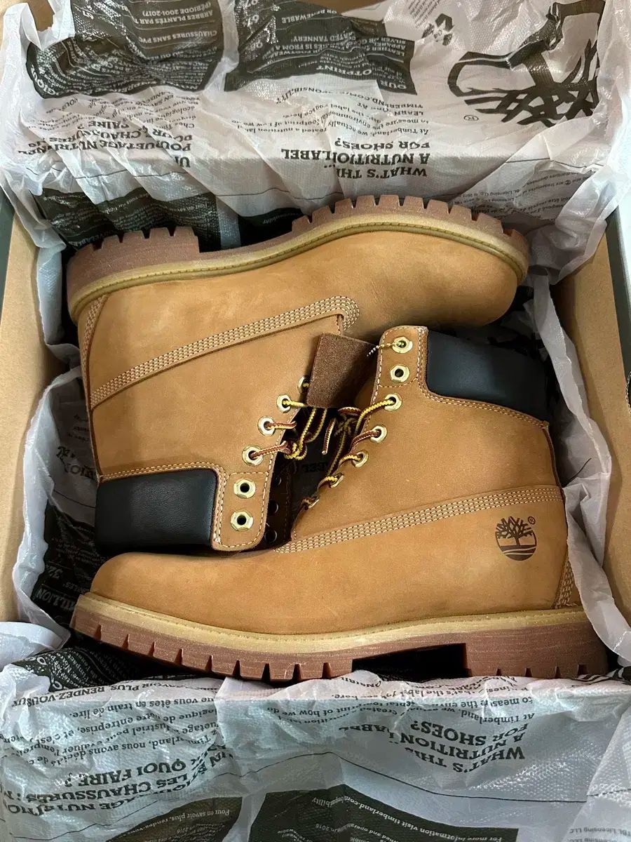 Timberland ティンバーランド 6 インチ 防水 270