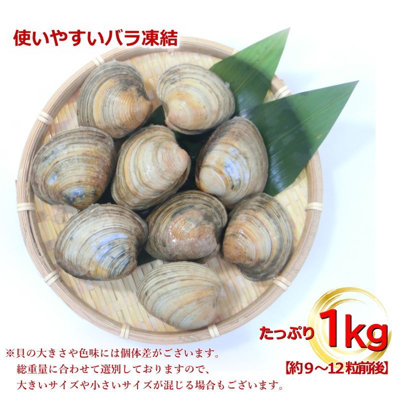 【大好評！激安キャンペーン！　冷凍ホンビノス貝 ！！】　冷凍ホンビノス貝6kg（Sサイズ ～55ｇ以下）あさりサイズ小さめ 究極の食材！ホンビノス貝を最安値で購入！ | ソフトシェルクラブ協会