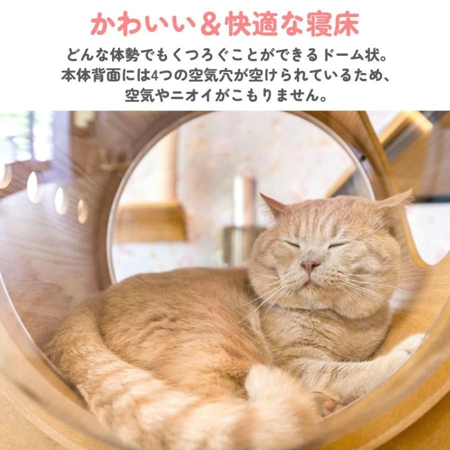 おしゃれ