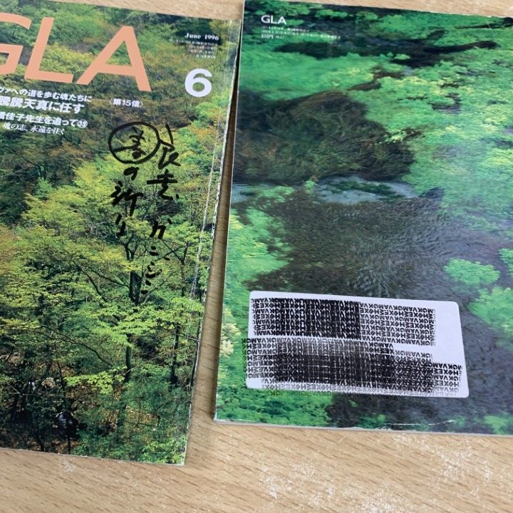 □02)【同梱不可】GLA機関誌 1988年～2025年まとめ売り約255冊
