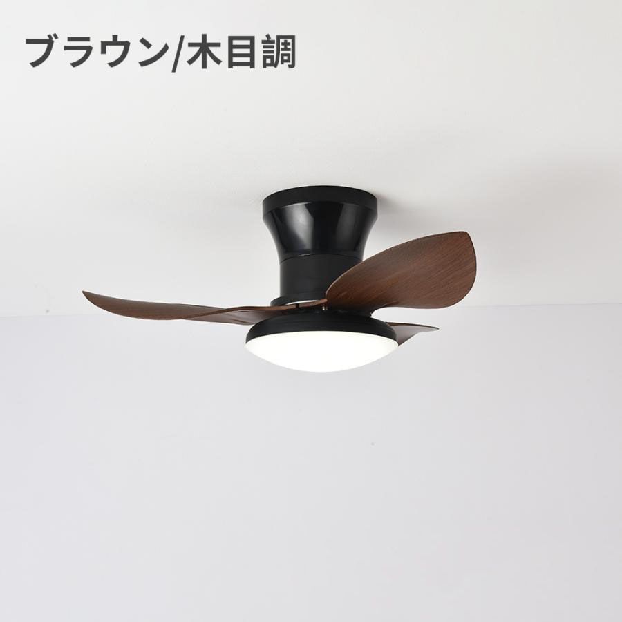 シーリングファンライト