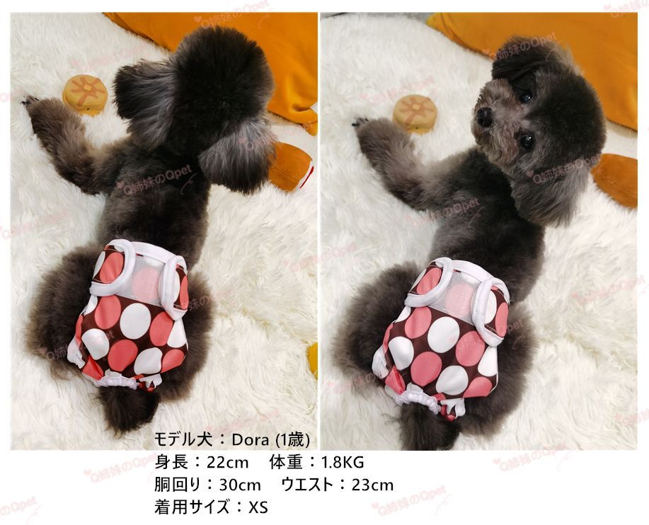 【S】犬 マナーパンツ サニタリーパンツ ペット マナーウェア 小型犬 猫 メス 生理用パンツ 介護 ケアパンツ 女の子 2005XSS