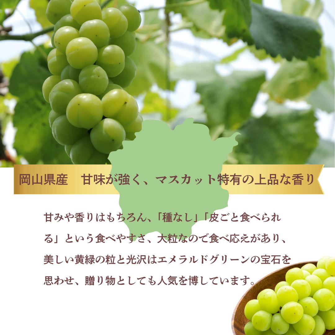 フルーツセット 桃