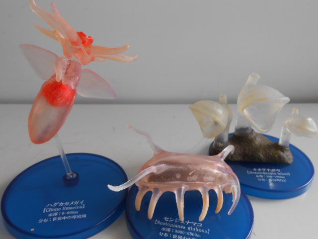 ♯LUi02DZ 不思議生物大百科 深淵の居住者 深海生物 7種 シークレット ♯LUi02DZ 不思議生物大百科 深淵の居住者 深海生物 7種