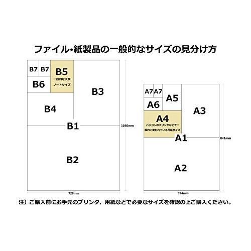 送料込み] リヒトラブ マガジンファイル A4L ブラック F1403 メルカリ