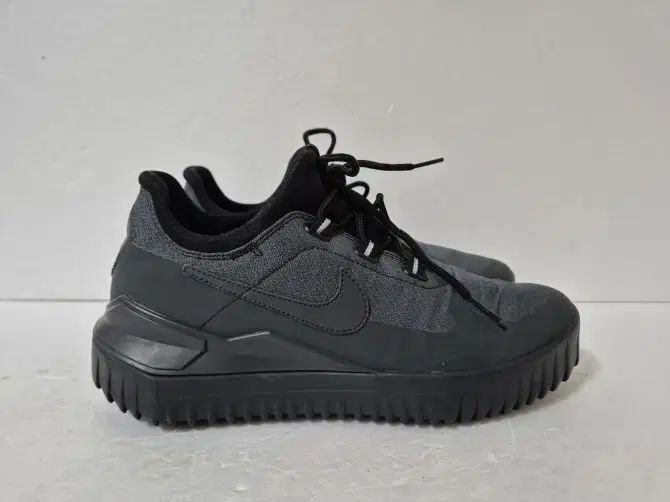 【雷市場（ポンジャン）商品韓国直送】NIKE(ナイキ) メンズ スニーカー 270
