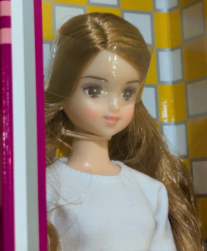 2015年9月DS44モデル 11248