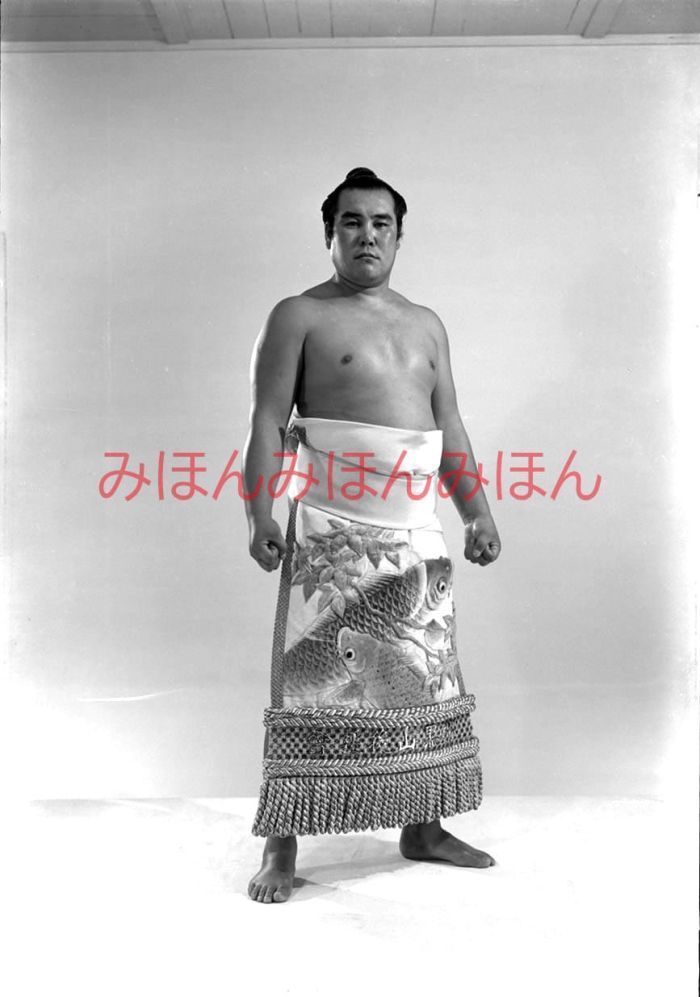 時津山仁一関　優勝ミニ額 大相撲ミニ額 大相撲優勝額　昭和２８年夏場所 全勝 前頭 時津山仁一関 ※受注生産品のため、ご注文後はいかなる理由でも返品、返金はできません