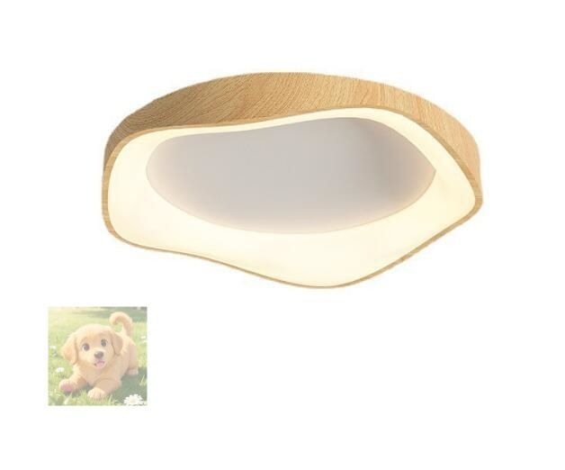 人気シーリングライト LED