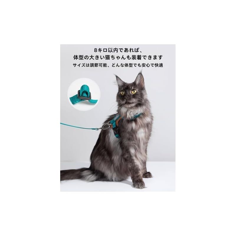 ねこりーさん Lucky Friends 抜けない 猫 ハーネス リード付き 散歩用 サイズ