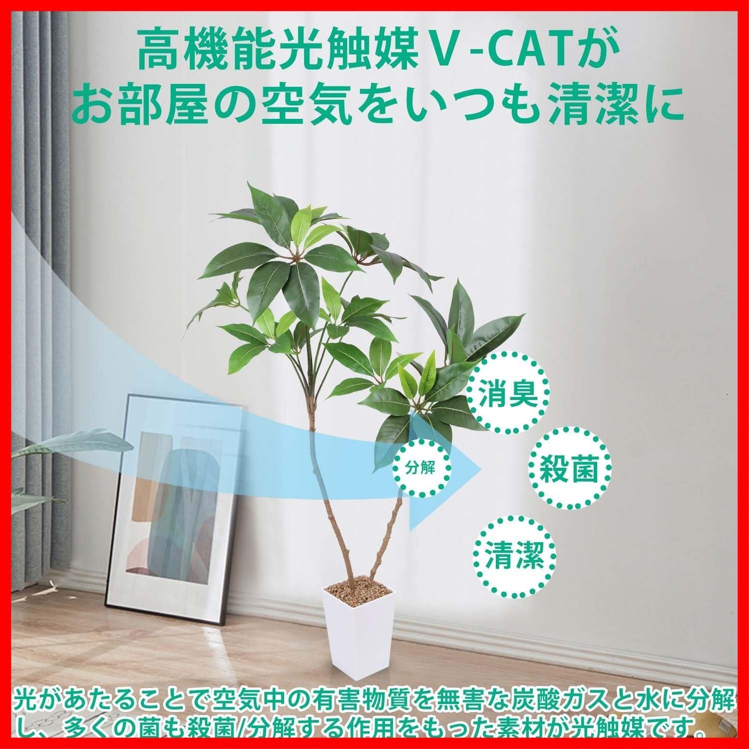 消臭抗菌 室内