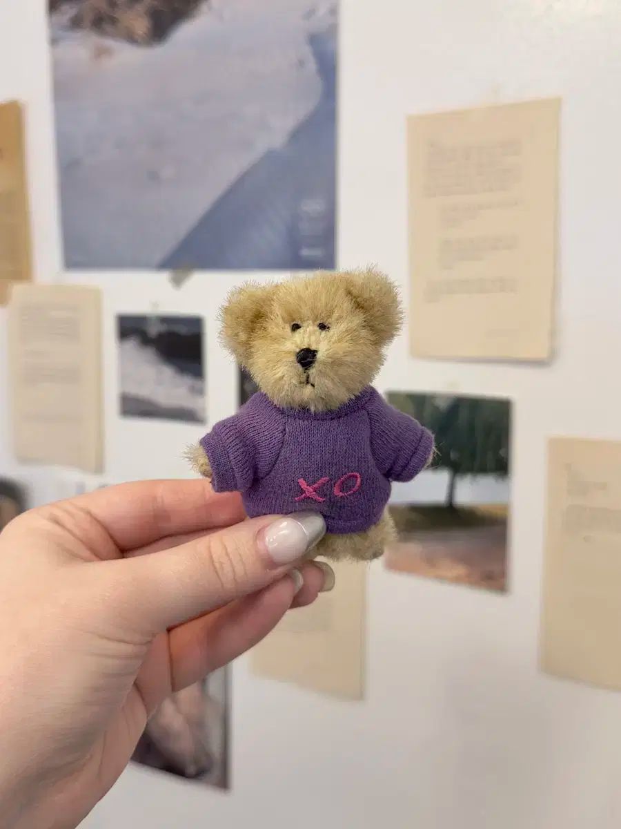 ボーイズベア xo 小さい