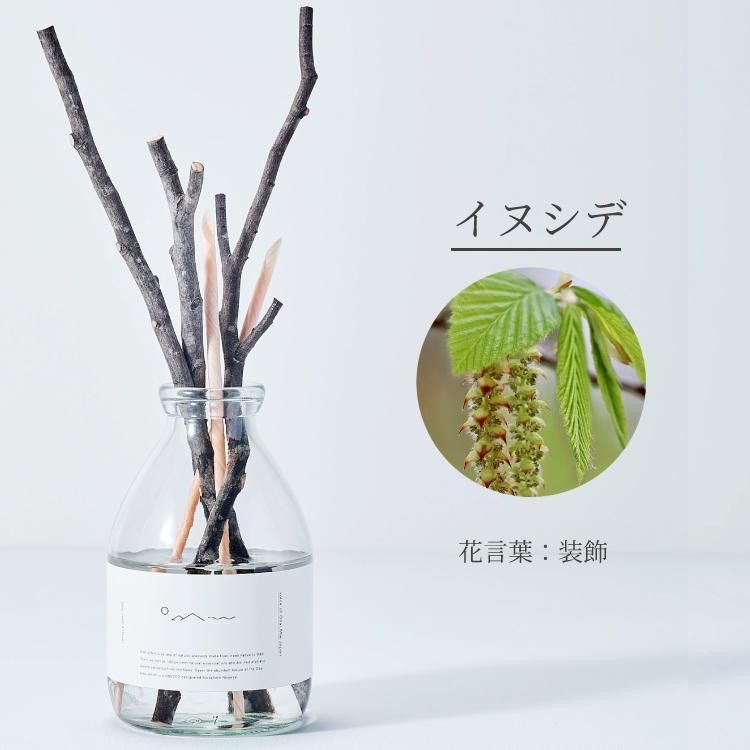 オオダイ