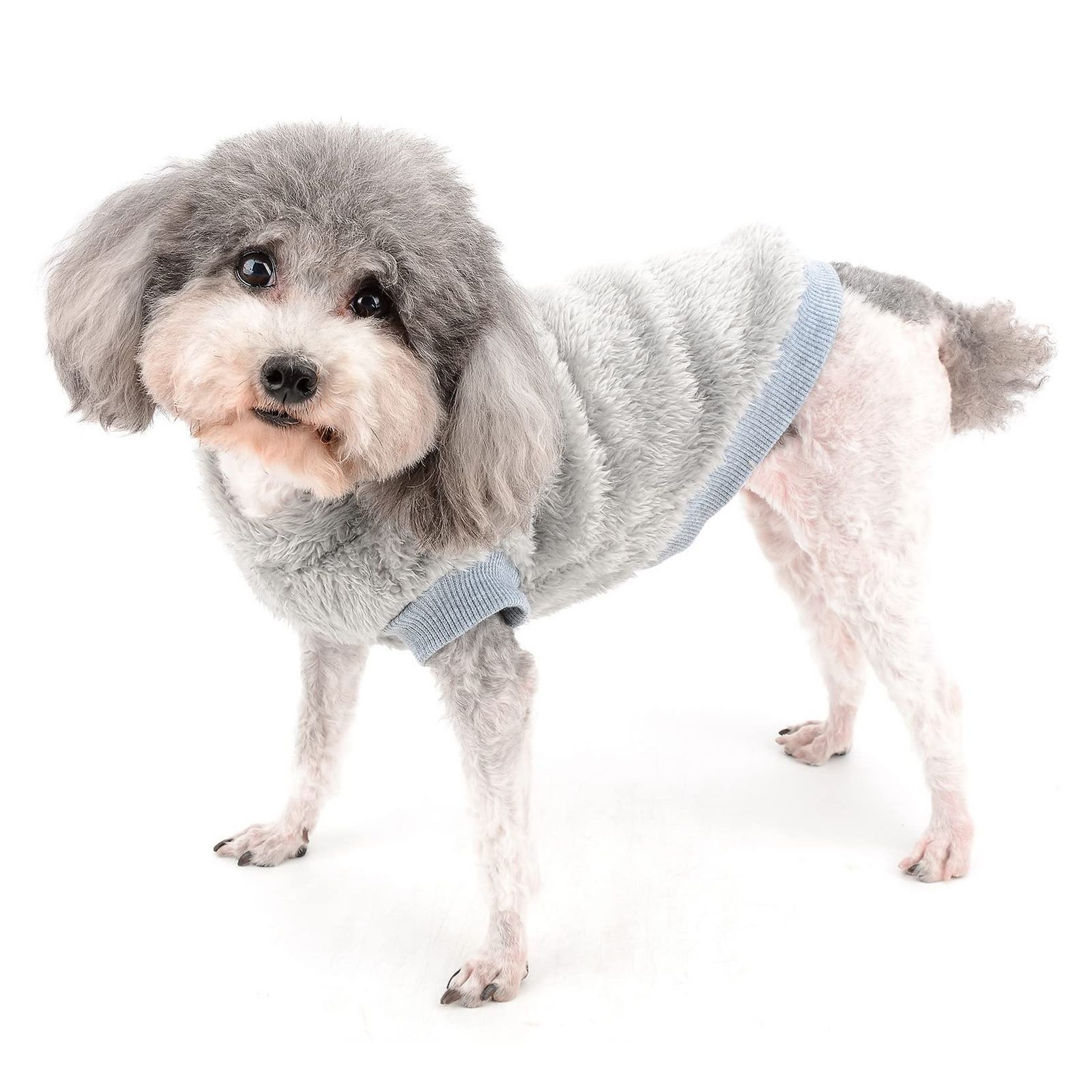 犬 ニット Maison Kitsune (メゾン キツネ) ウール フォックス刺繍パッチ