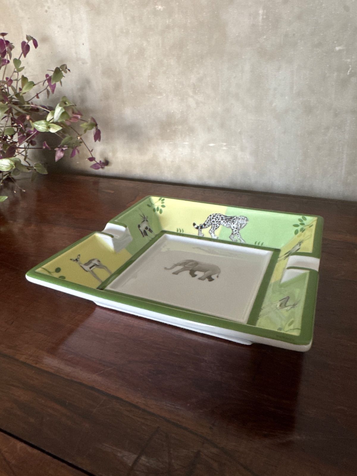 アフリカ サバンナ