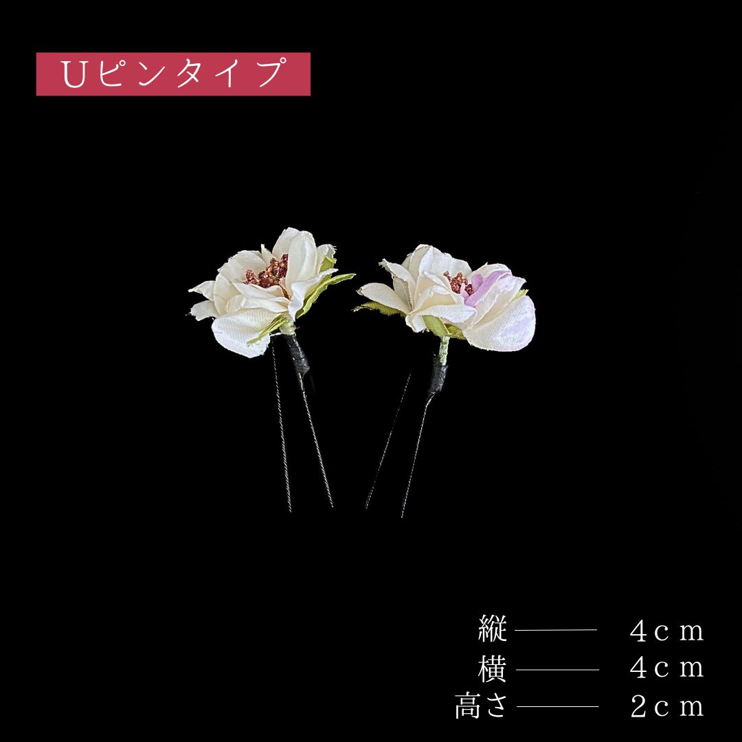 成人式 卒業式