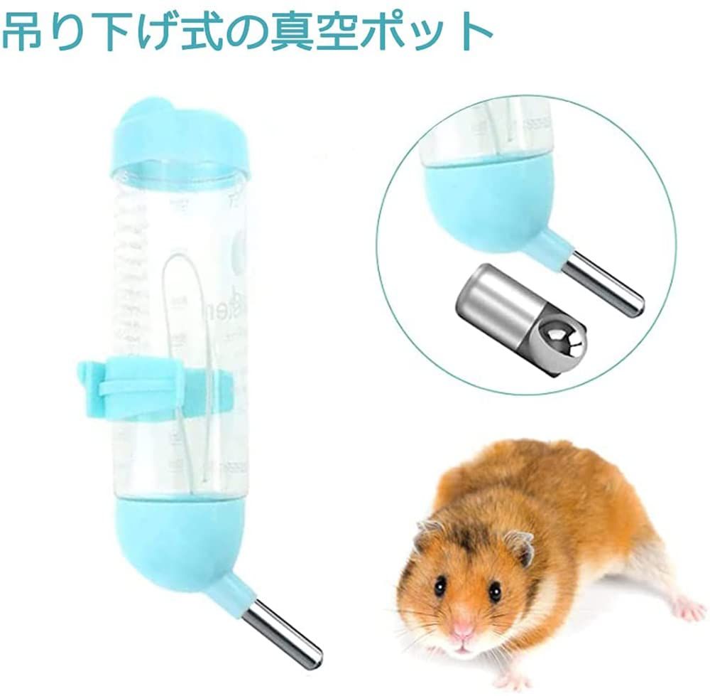 ハリネズミ