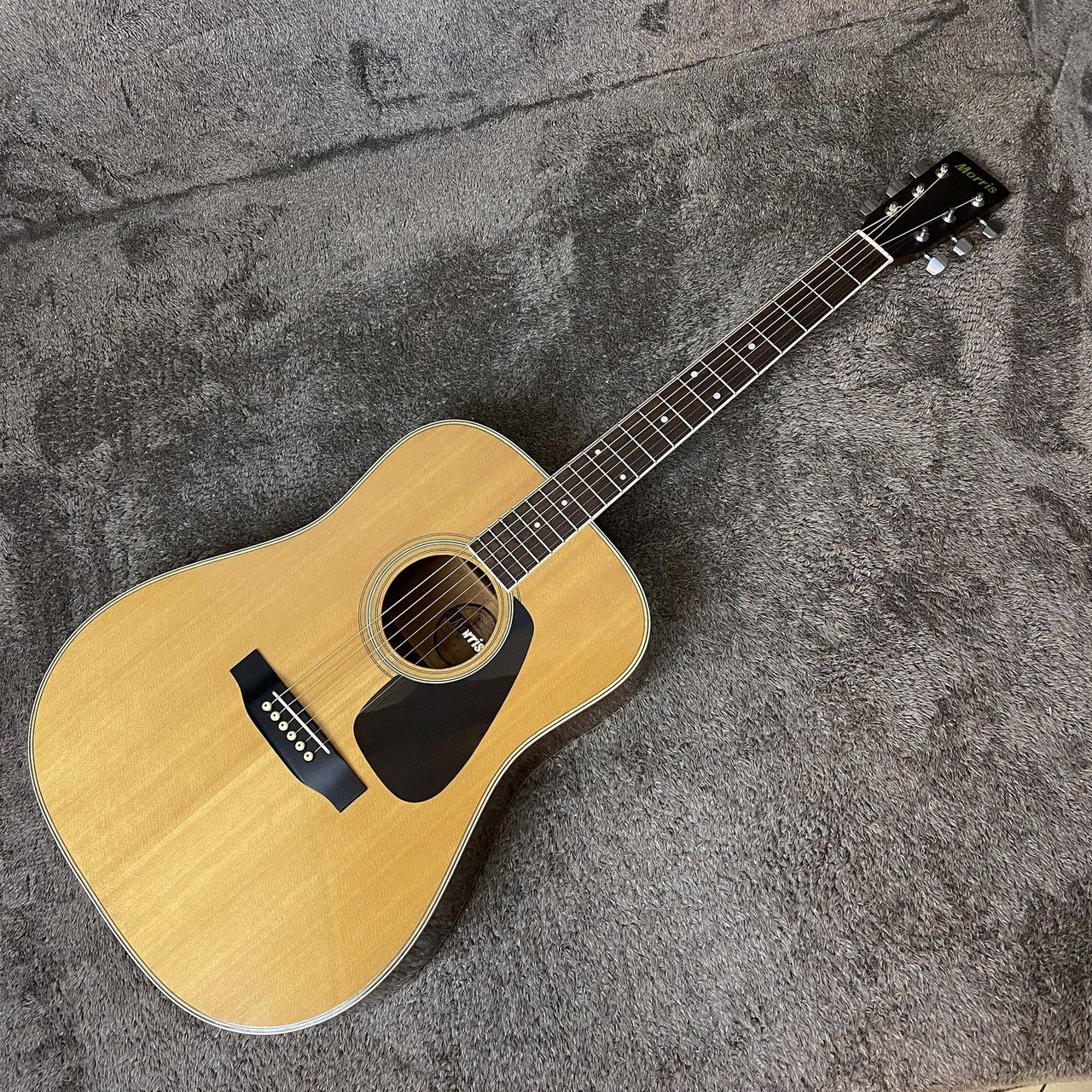 Morris アコースティックギター MD-505