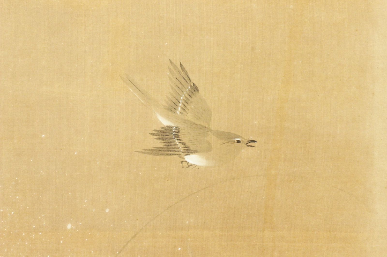 山城真斎筆 花鳥図六曲屏風 280cm 金屏風 唐物 骨董 古美術 楾