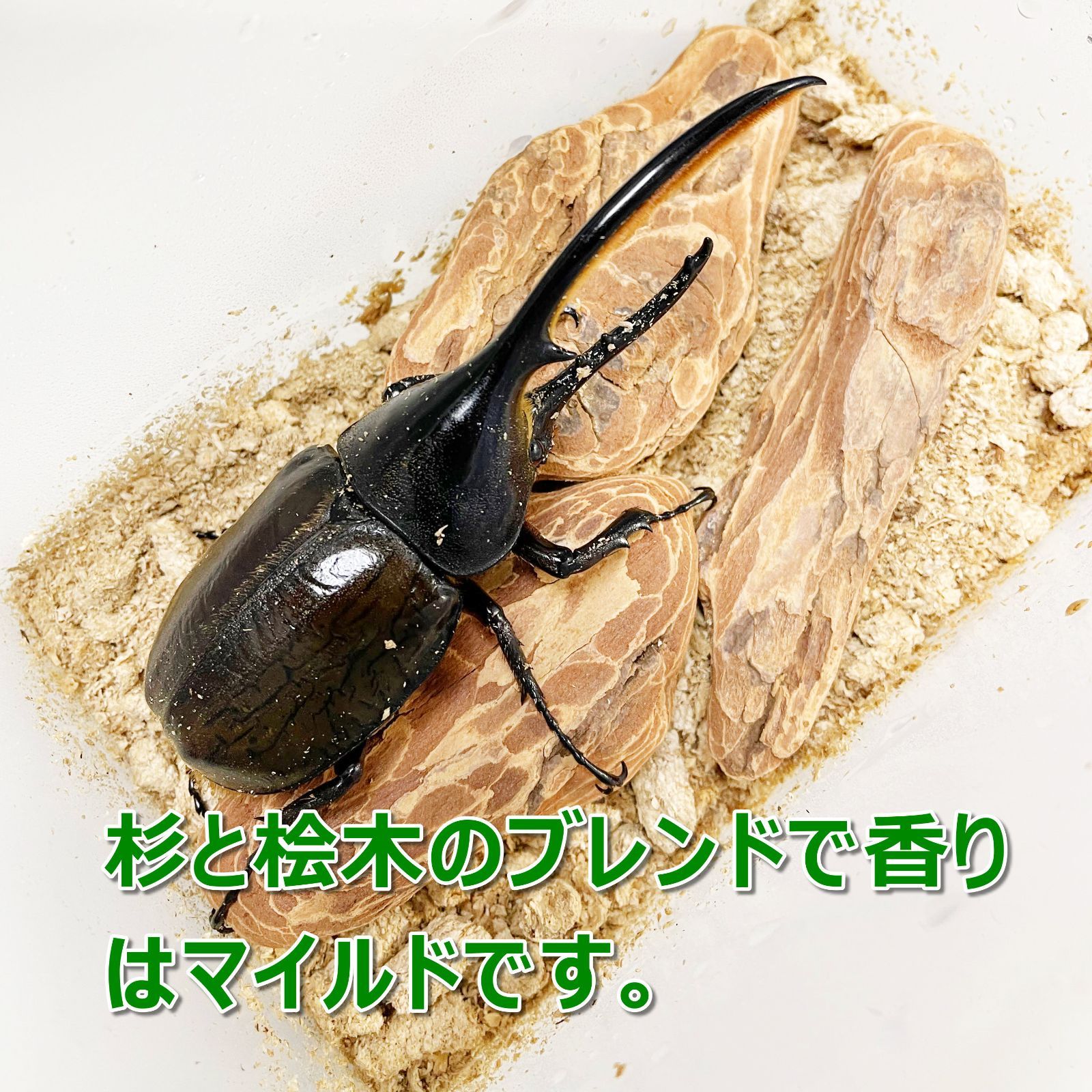 成虫用マット　1kg　1個　昆虫ペレット　カブトムシ・クワガタの成虫飼育に最適！　針葉樹　ヒノキ　桧　檜　スギ　杉