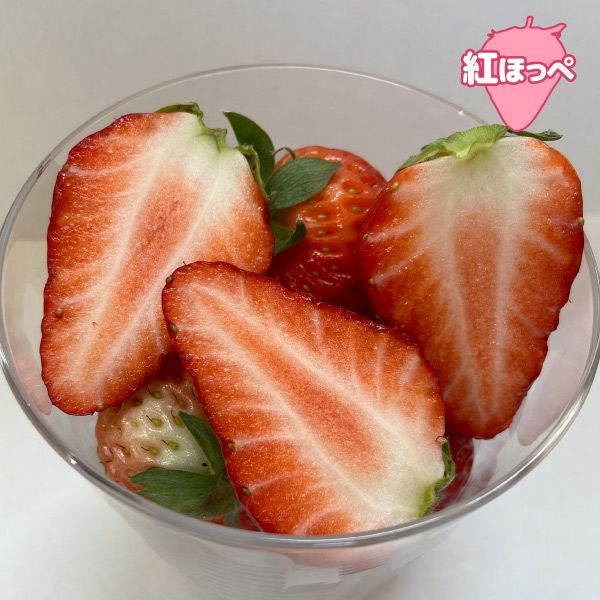 strawberries いちごの販売@ 湾岸ベリーファーム - よつぼし